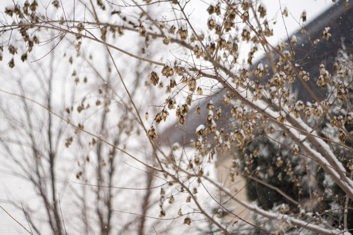 警校大学排名（没有人告诉你）