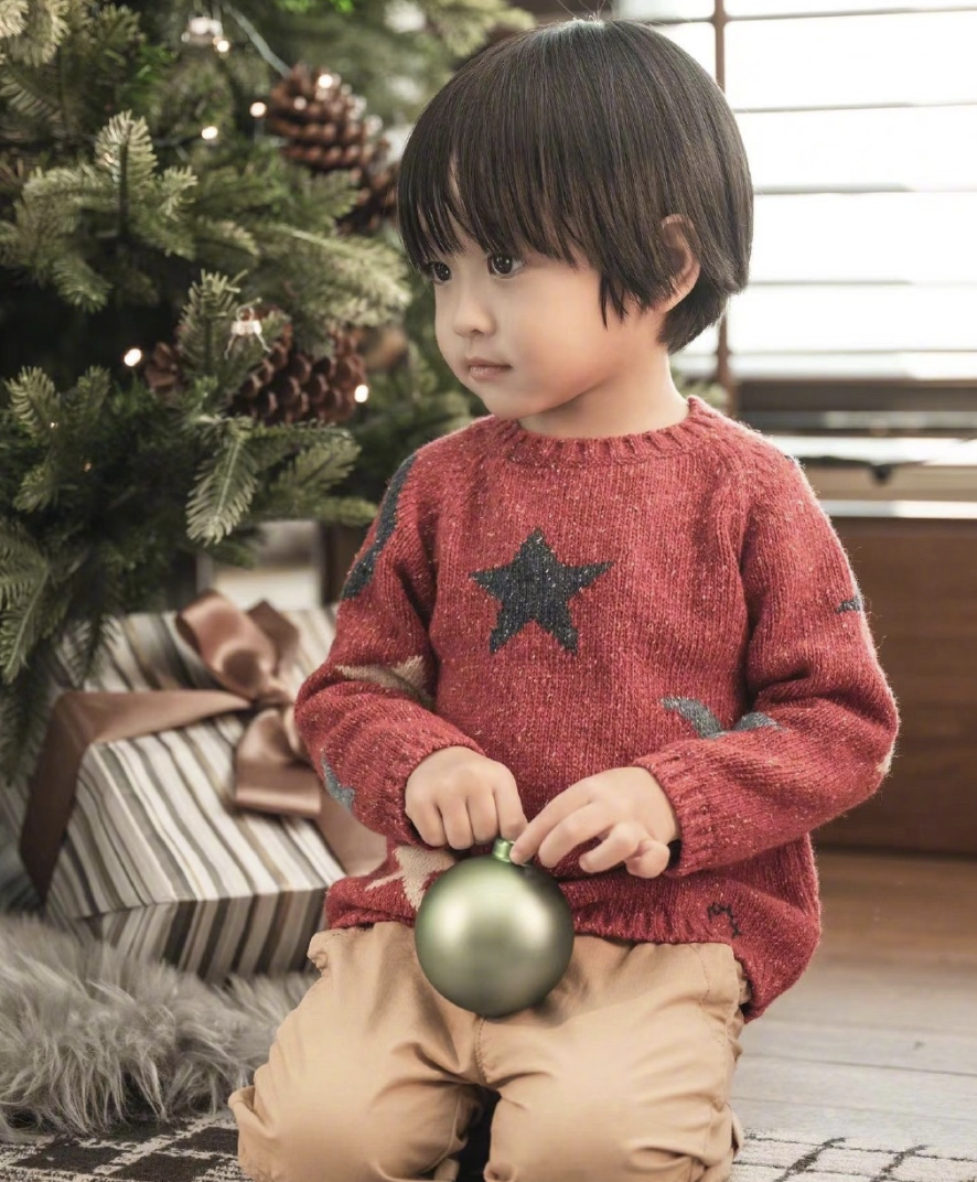 郑嘉颖圣诞节晒全家福，和陈凯琳给儿子们举高高，画面幸福洋溢