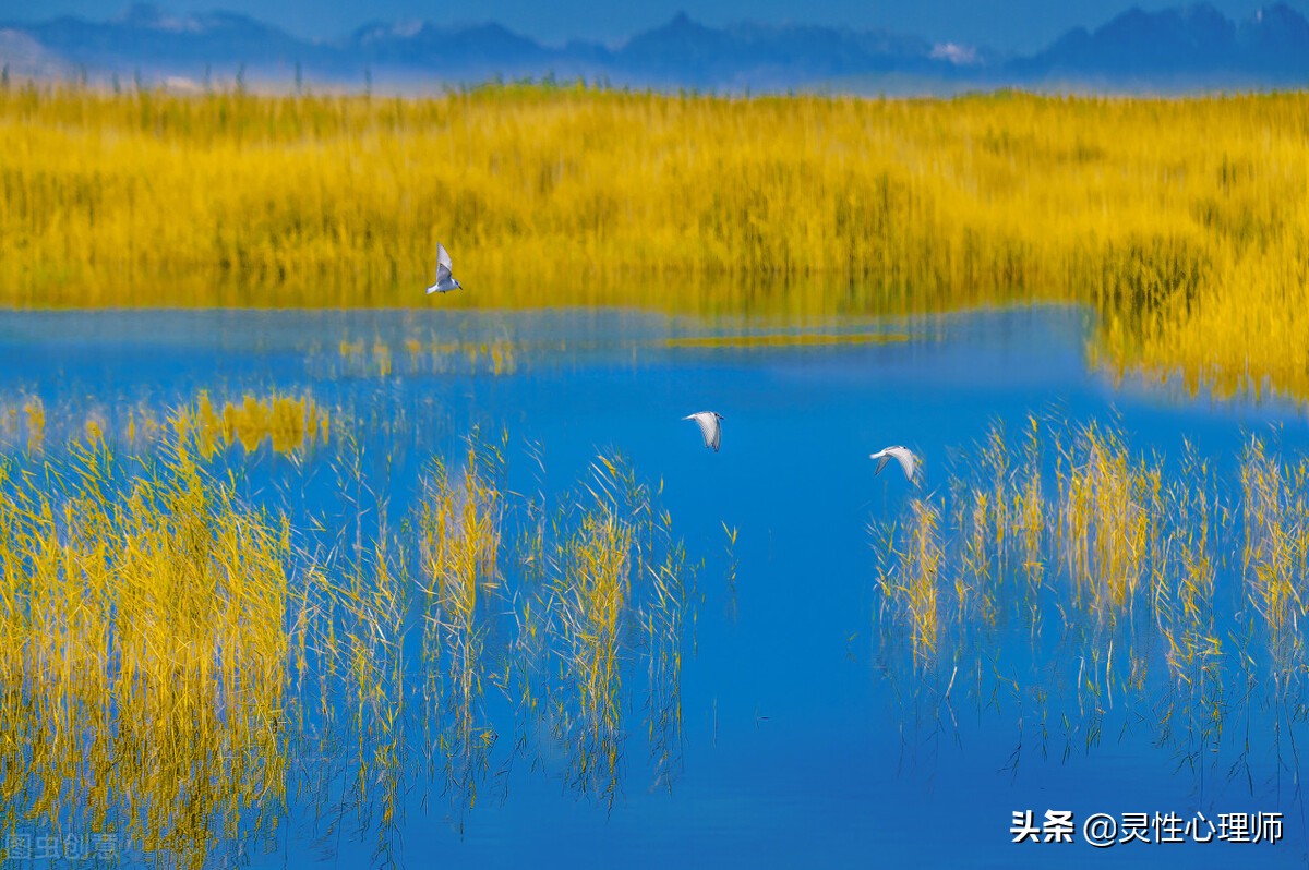 心理学的顶级智慧：一切烦恼的终结者是行动