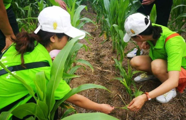 中国刑事警察学院女生（大学神仙专业火了）