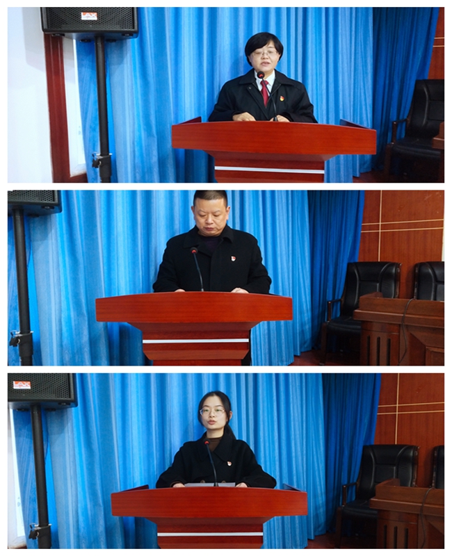镇巴法院党支部深入学习贯彻党的十九届六中全会精神