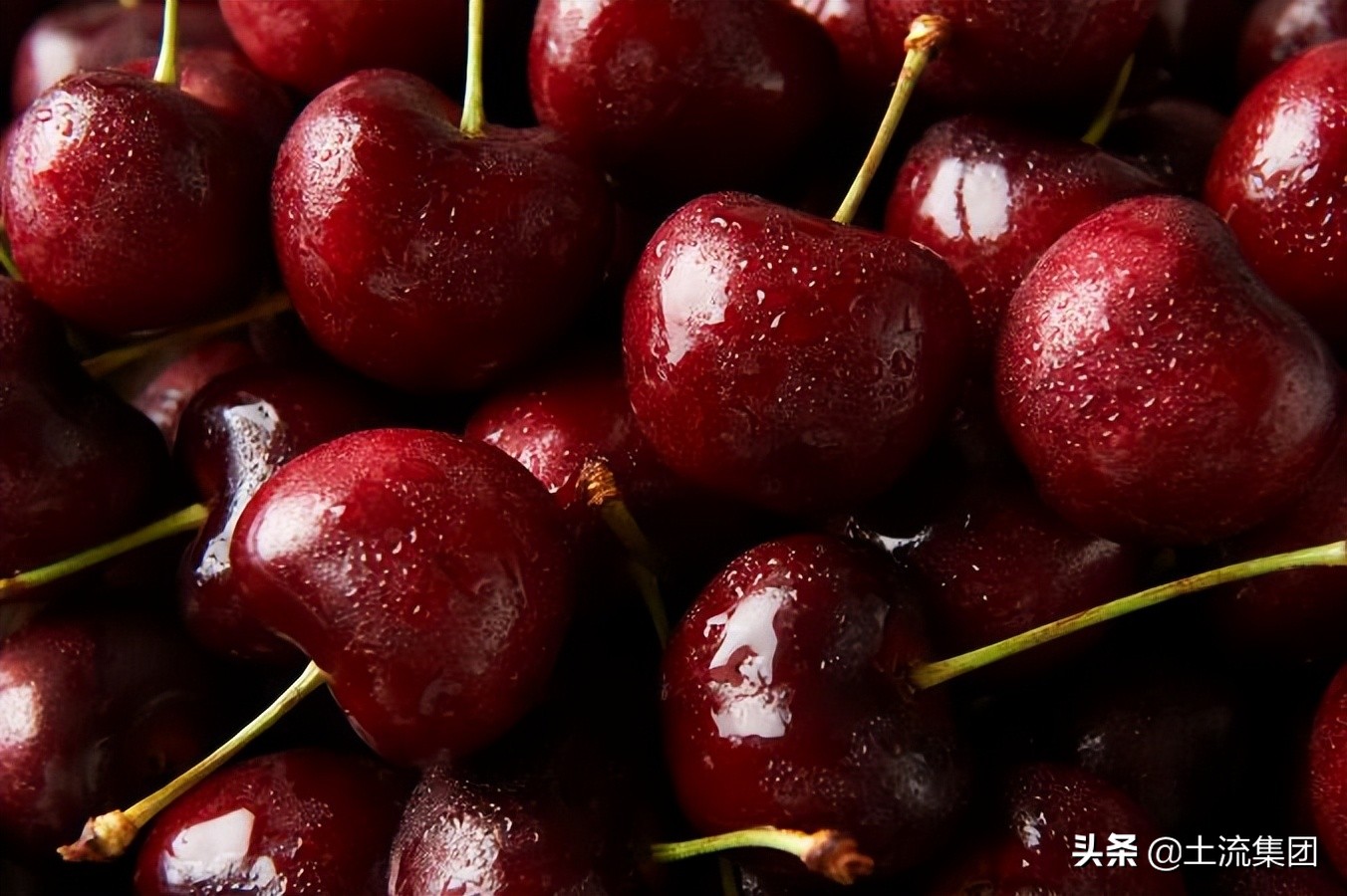 车厘子几j最好？怎么看车厘子几个J？车厘子2j3j4j对比介绍