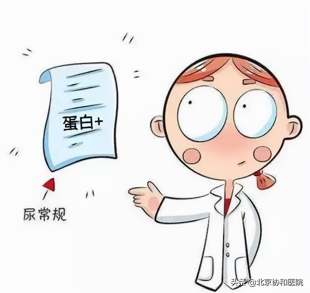 世界肾脏日|30%~50%终末期肾病由糖尿病引起,防透析先降糖