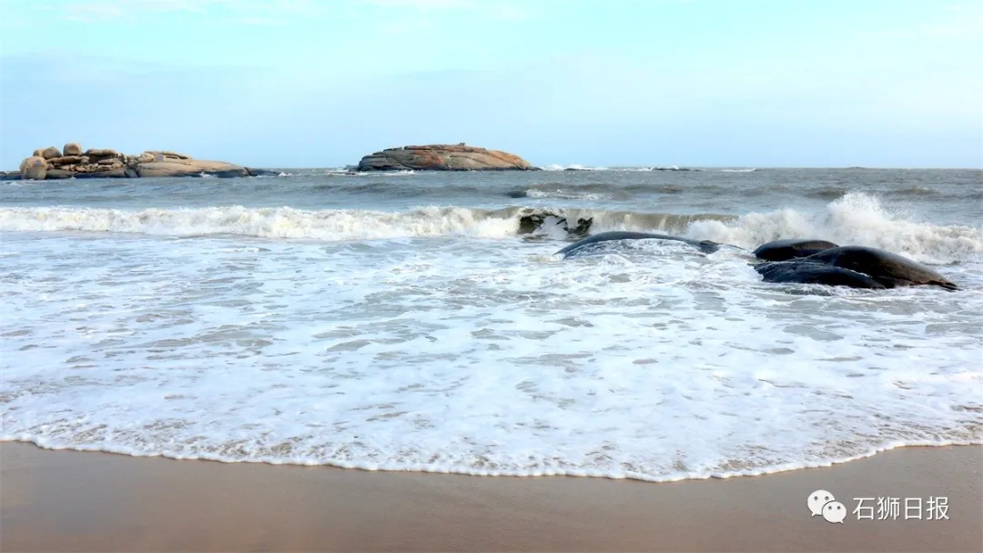 风劲潮涌浪高起，石狮海湾大风歌