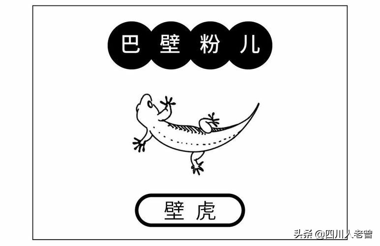 巴蜀语遗韵——泸州话的方音、词汇与语法