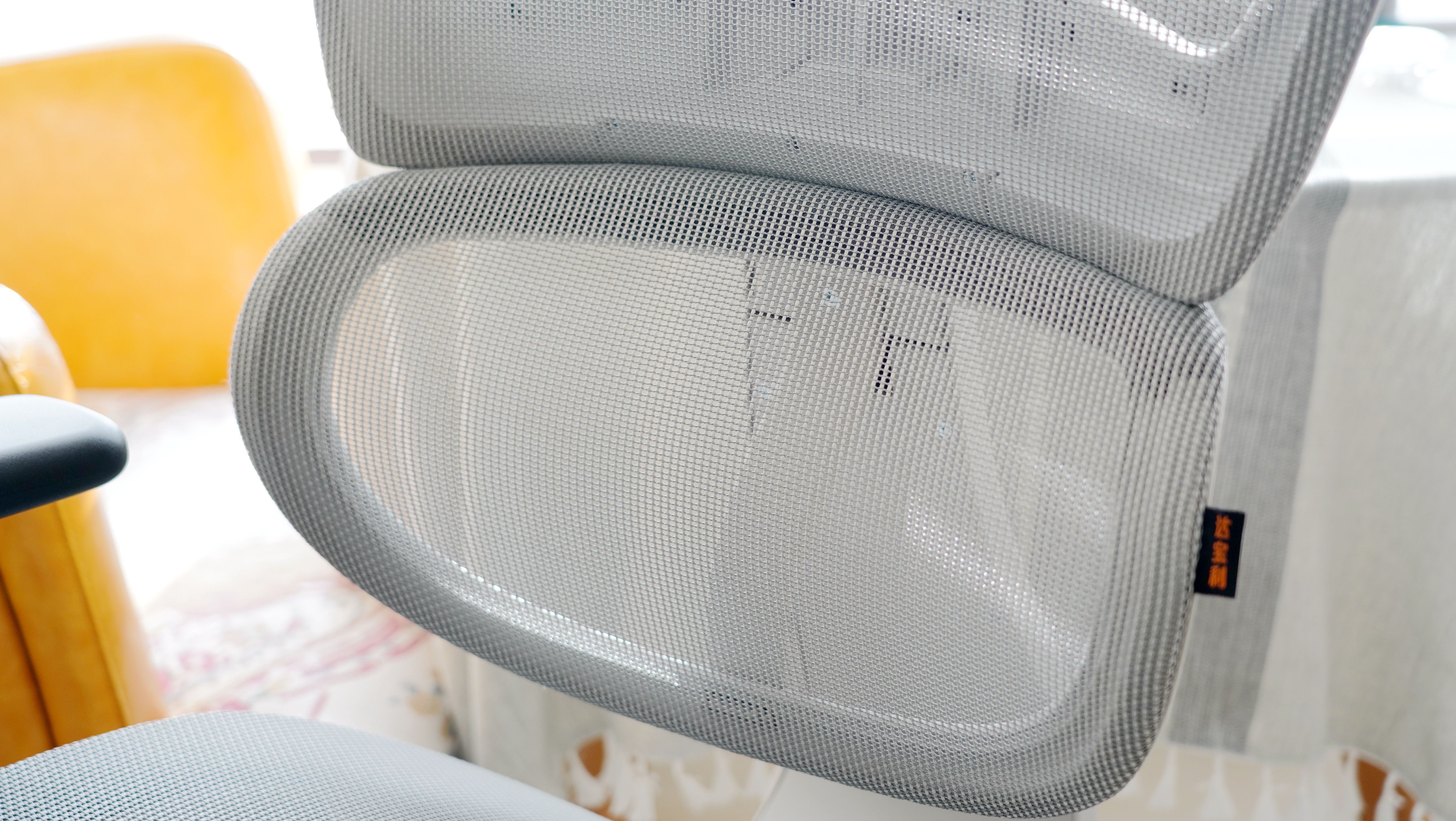 大长腿小主的学习新装备，达宝利S10青少年人体工学椅晒单