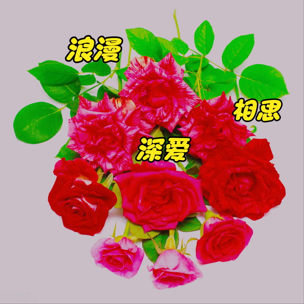 描写桃花的优美语段(描写桃花的优美语段300字)-图1