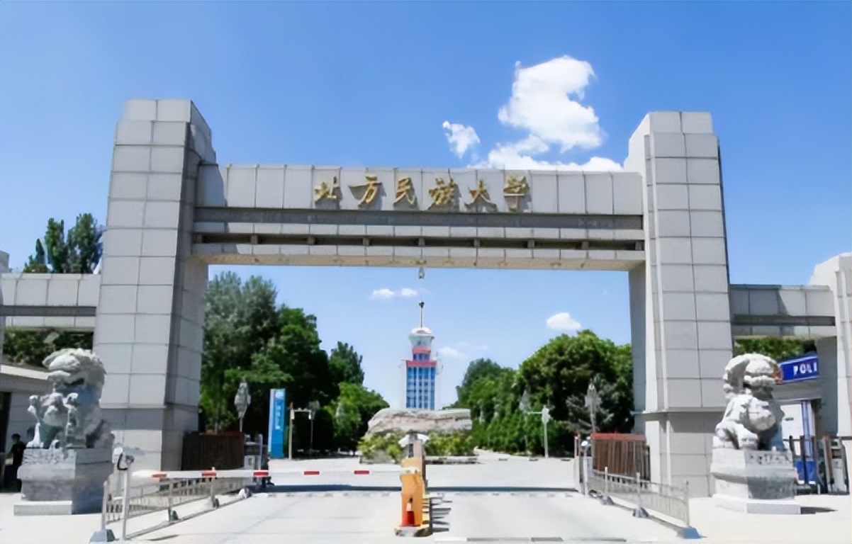 大学运动会举牌女生颜值高，好似迪士尼在逃公主，男生目不转睛