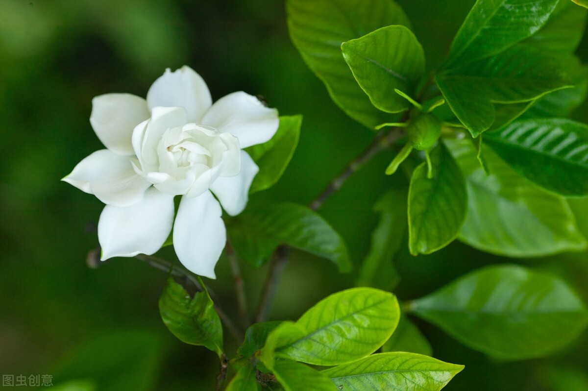 做自媒体，有哪些坑不能踩？