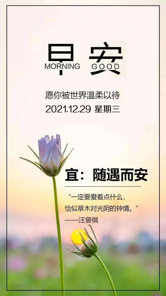 「2021.12.29」早安心语,正能量最美语录句子,清晨早上好图片