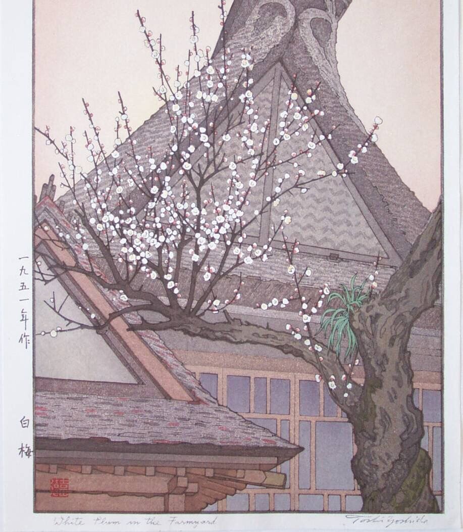 冰雪林中著此身，不同桃李混芳尘——梅花风骨，一枝独开天下春