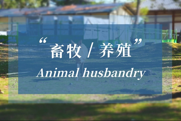 疫情后时代,畜牧养殖该何去何从?