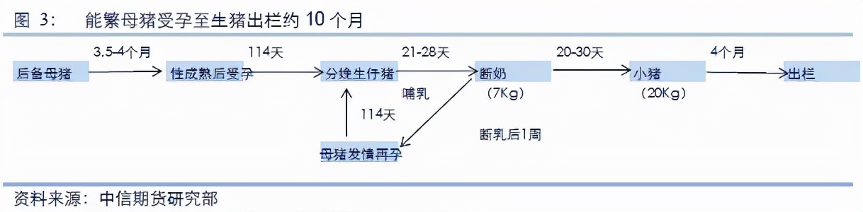 扫雷又一弹！聊聊养猪大户牧原股份