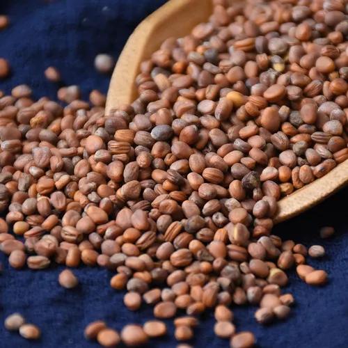 冬季咳嗽反反复复不见好？送你三味中药，化痰消食、降气平喘