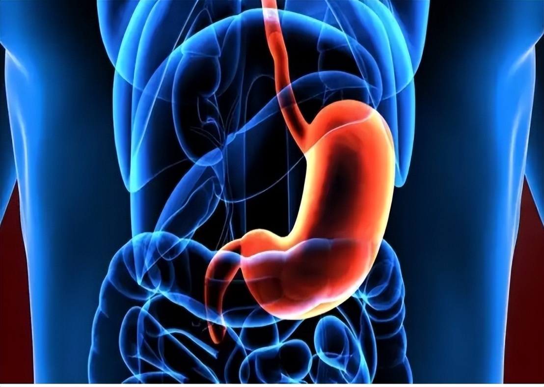2种治疗慢性胃病的中成药，可调畅气机，和胃降逆，有何区别？