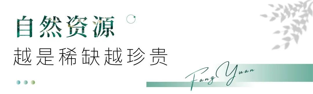 芳原丨现象级红盘归来，9#楼王24席臻稀洋房，收藏上秦淮