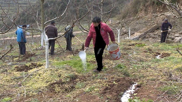 上高山下地头 南郑区农技专家送技术下乡