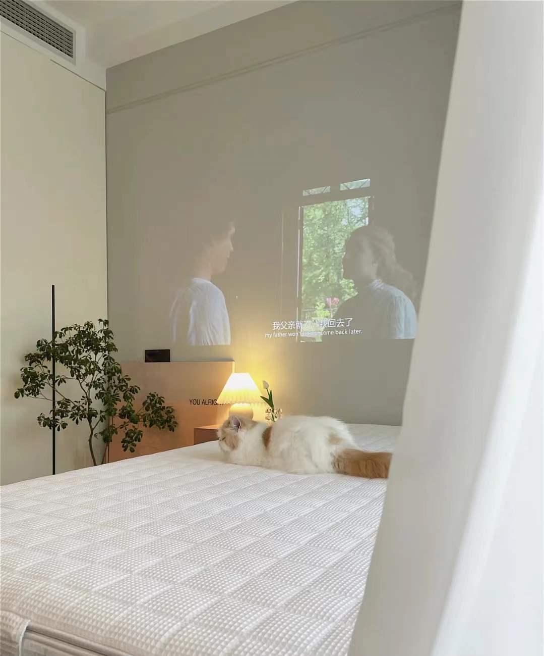 浙江90后夫妇，坚持全屋做满柜子，那叫一个高级，我羡慕了