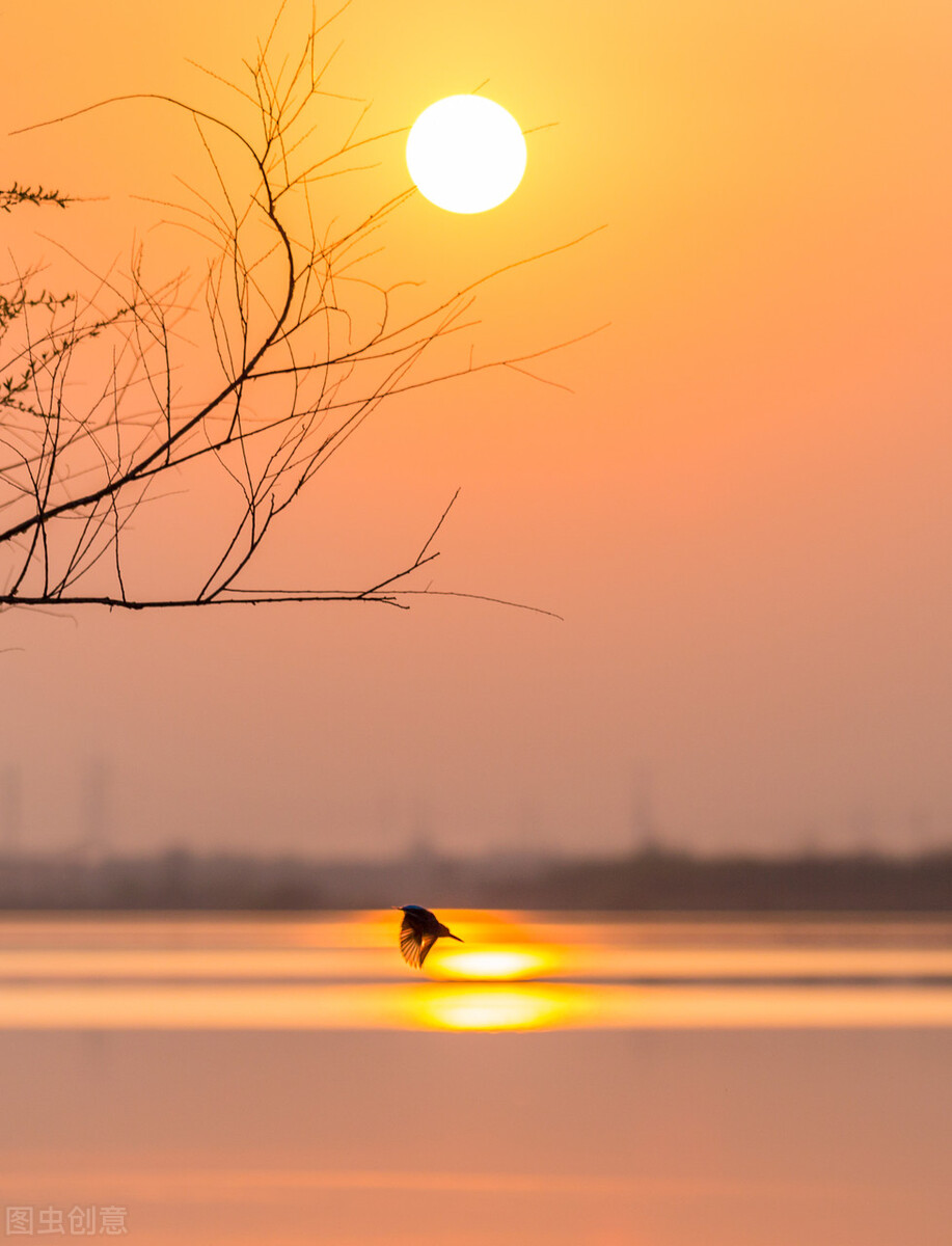 60张唯美惊艳夕阳图片。夕阳无限好，只为近黄昏