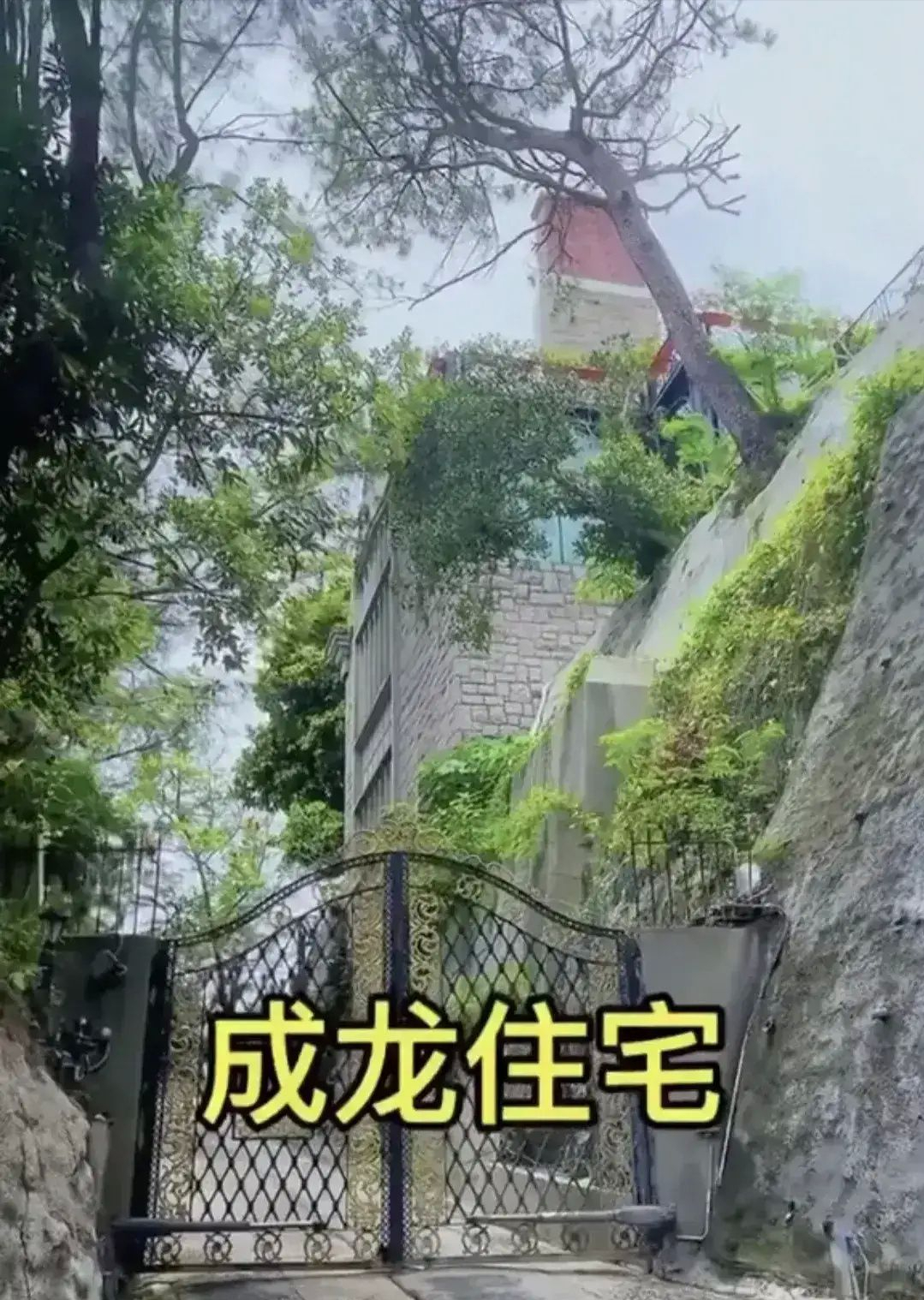 家族荣耀：集港圈豪门狗血之大成，比比看原型和人物哪个更浮夸？