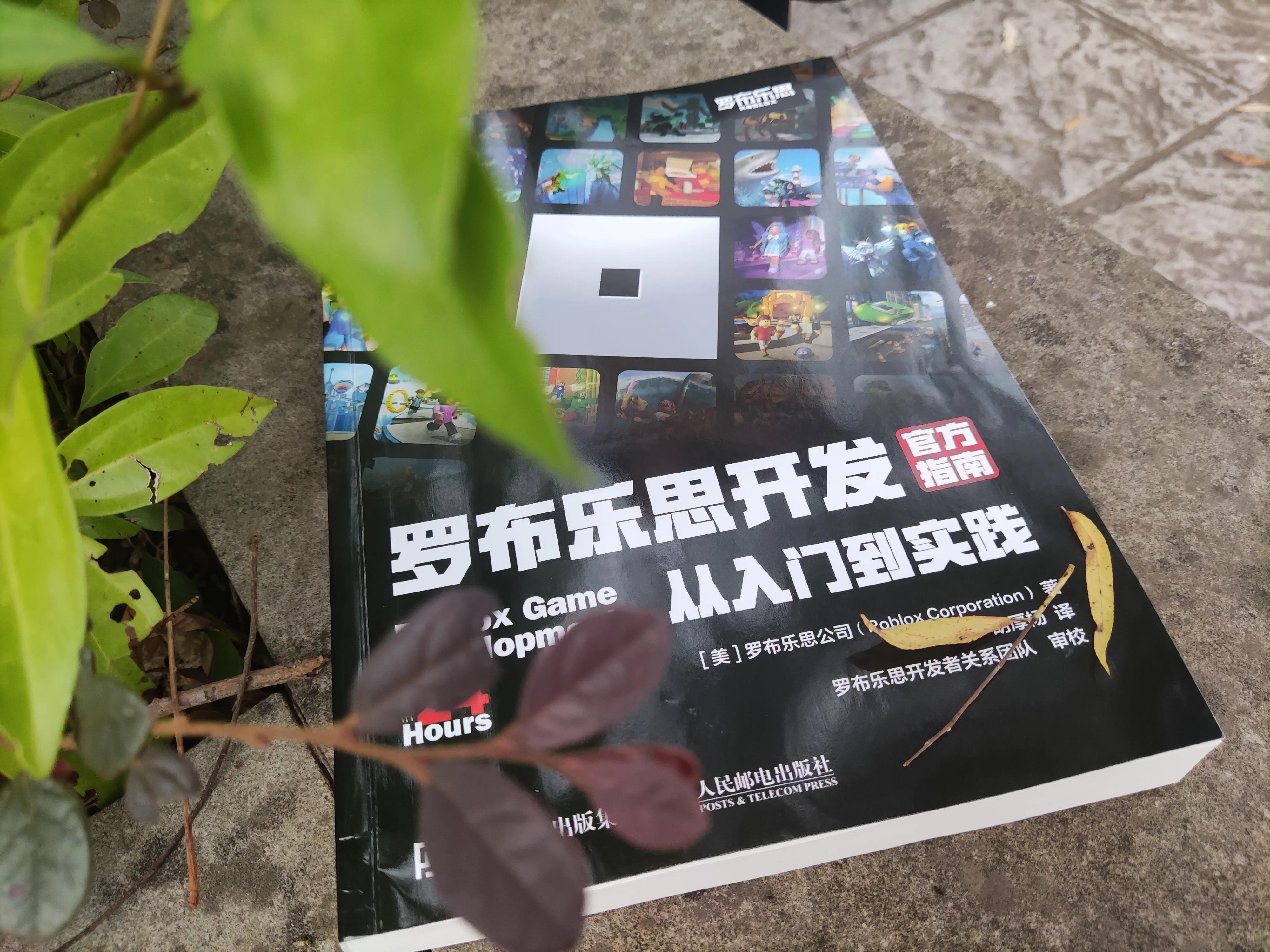 简单上手游戏开发，罗布乐思就很够