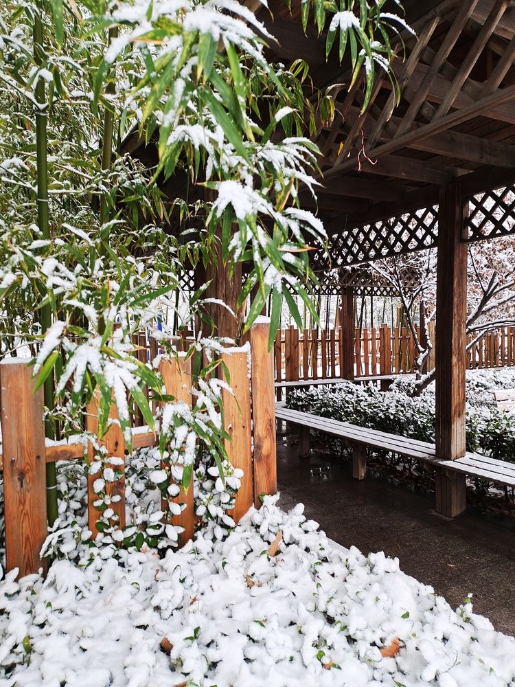 一场雪，让这里的春天真美 摄影/诗文：李武兵