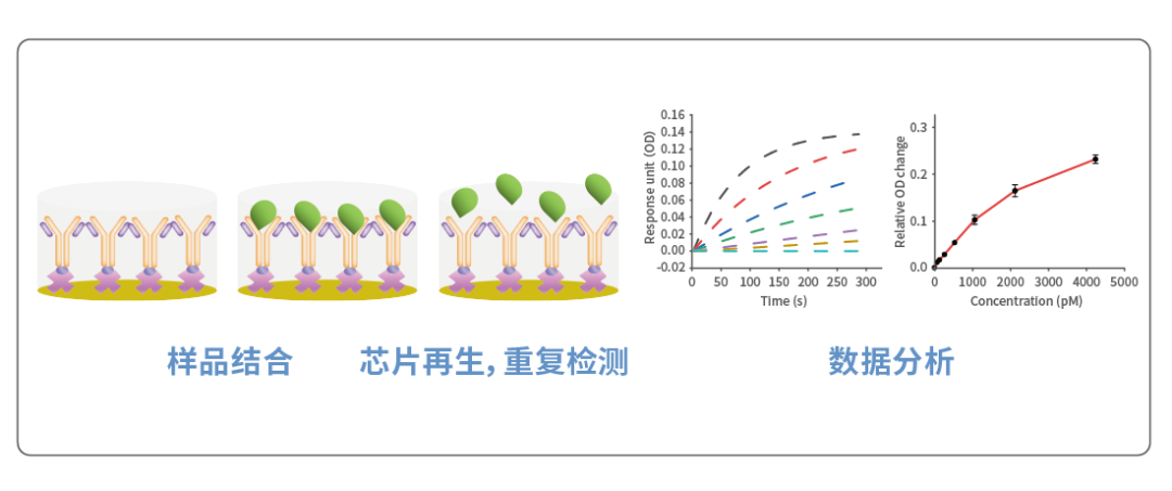 孵化企业动态 | 量准发布WeSPR HT96全自动多功能分子检测仪