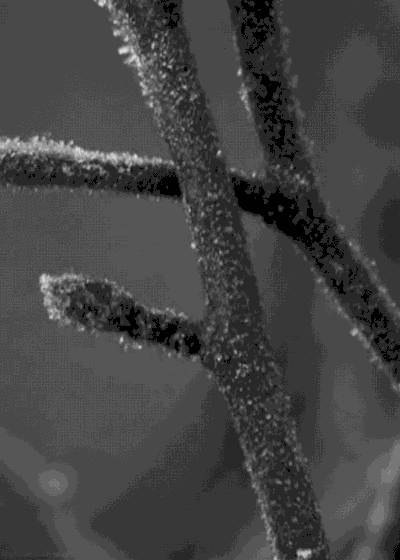 生活中的物理现象（动图解析）