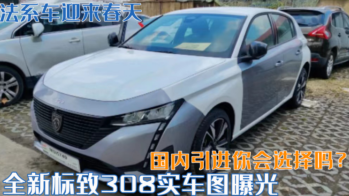 法系车迎来春天？全新<a target=