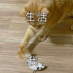 封校中的大学生，浅疯一下