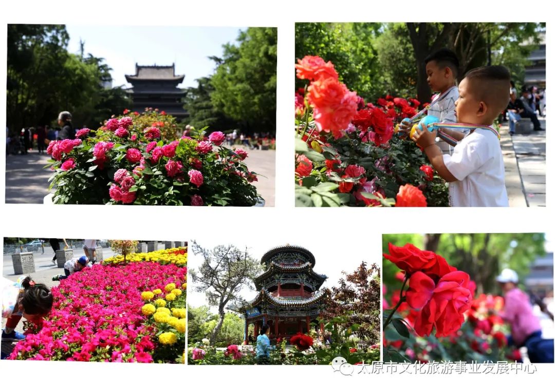 线上展览|“山河春意 锦绣太原——花的世界”主题摄影线上图片展（二十）