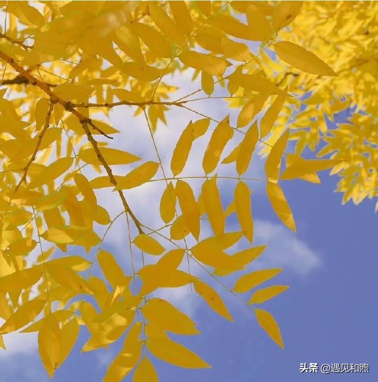 讲真，真心爱过你的男人，在分手后不会和你做回朋友