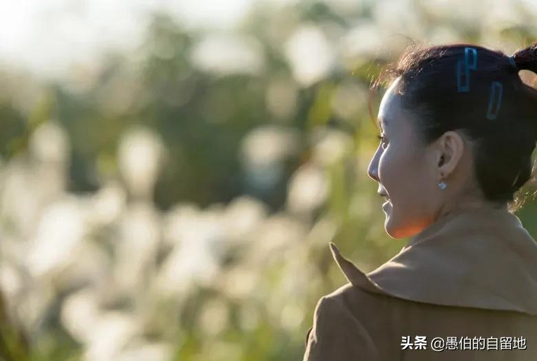 我收到的一份礼物（我收到了( )礼物）