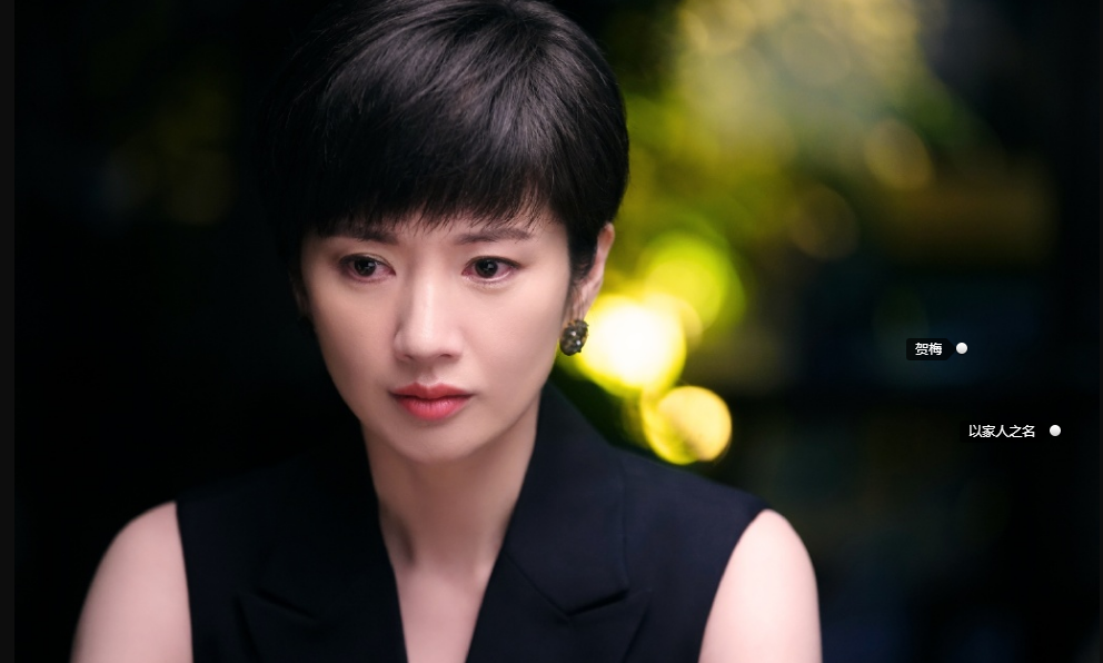 05 苑冉 跨界艺人 年轻时美得很惊艳