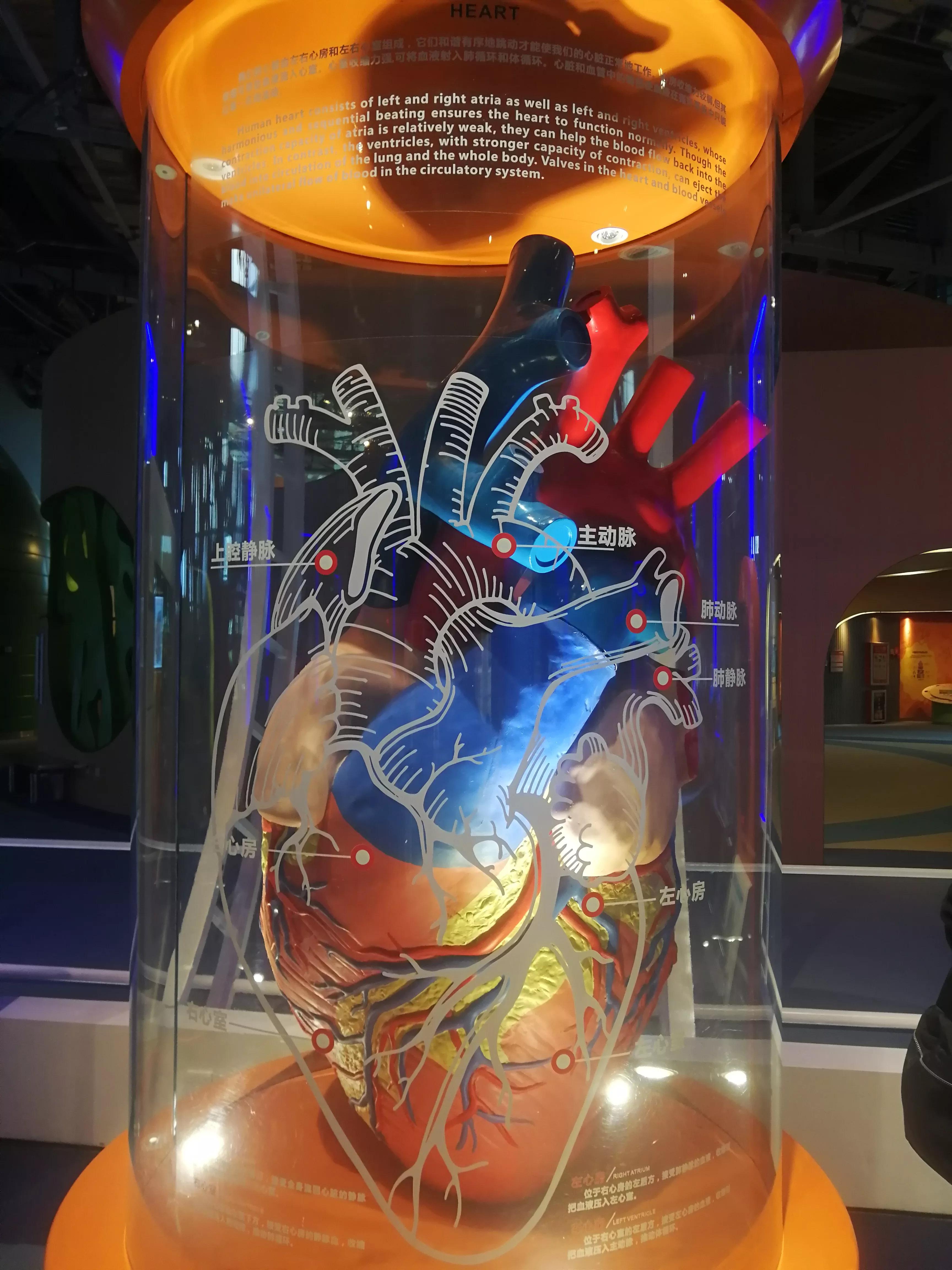 地铁4号线广州大学城一日游，带你体验不一样的大学城风景（A篇）