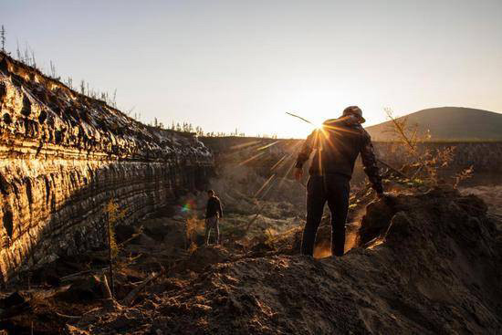 1.5万名科学家联合声明，第六次大灭绝或正发生，有这种可能吗？