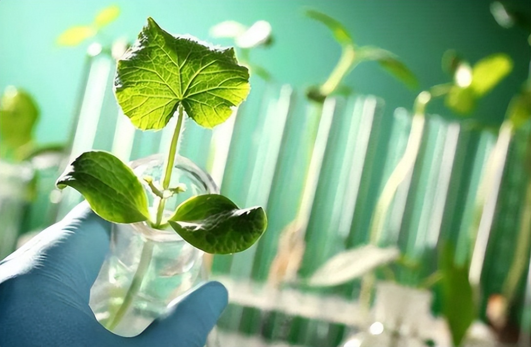 绿色农业市场规模或达6万亿元；区块链技术：如何赋能农产品