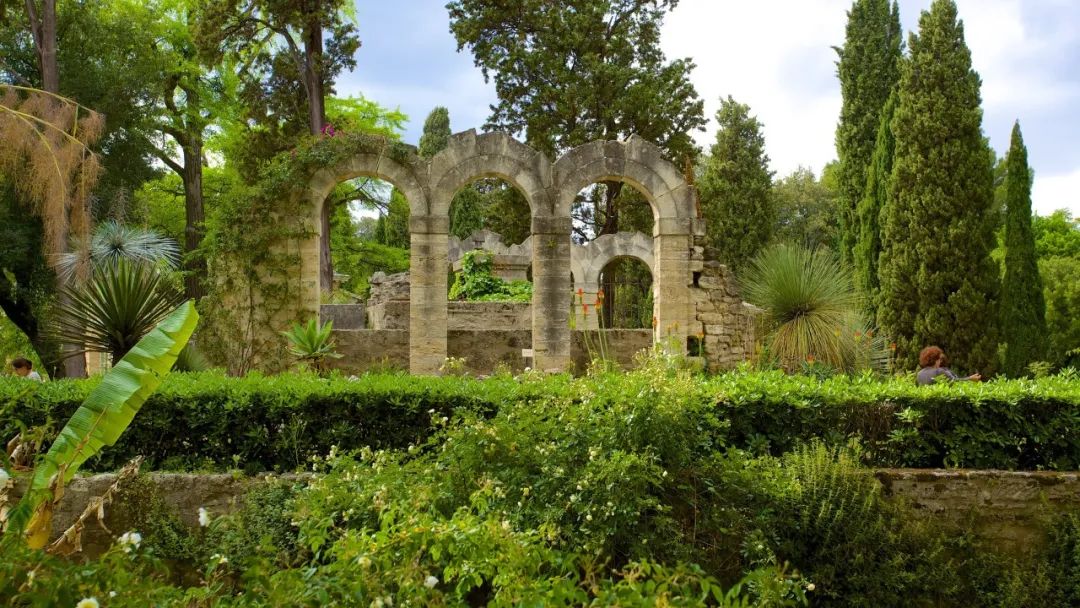 蒙彼利埃第三大学(蒙彼利埃植物园 Jardin des plantes de Montpellier)