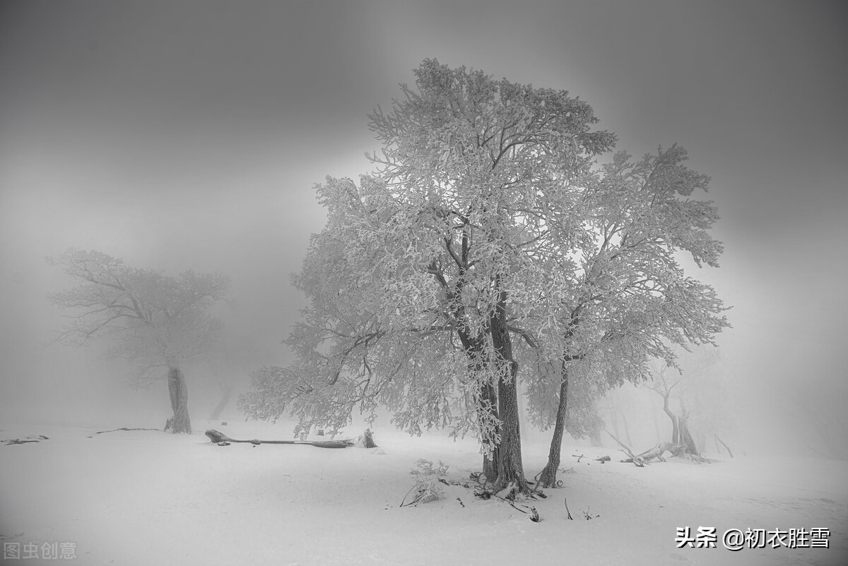 唯美春雪唐诗七首：春雪满空来，触处似花开