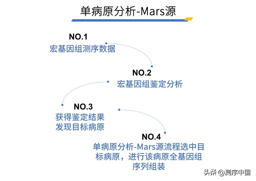 微远新品Solar System：助力微生物基因组智能自动化分析