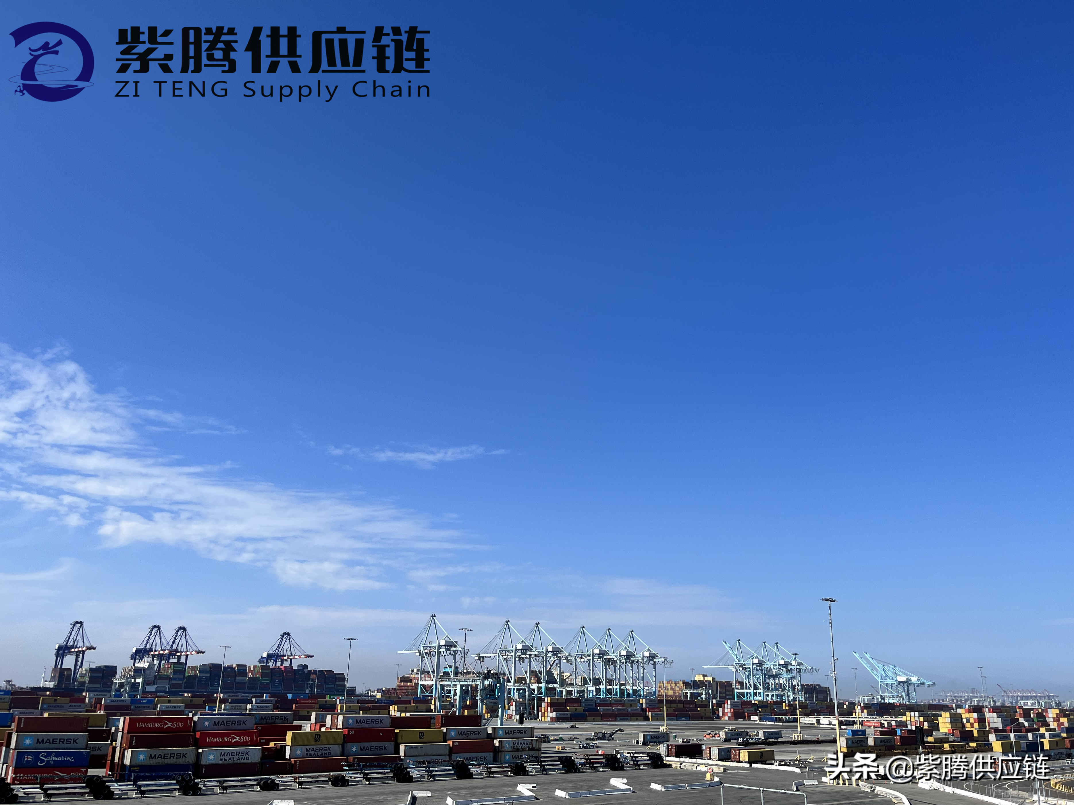 货运代理风险：一个不断增长和发展的细分市场