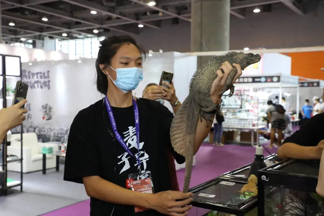 2022广州宠物展｜精彩集锦！提前GetCPF广州国际展玩乐攻略