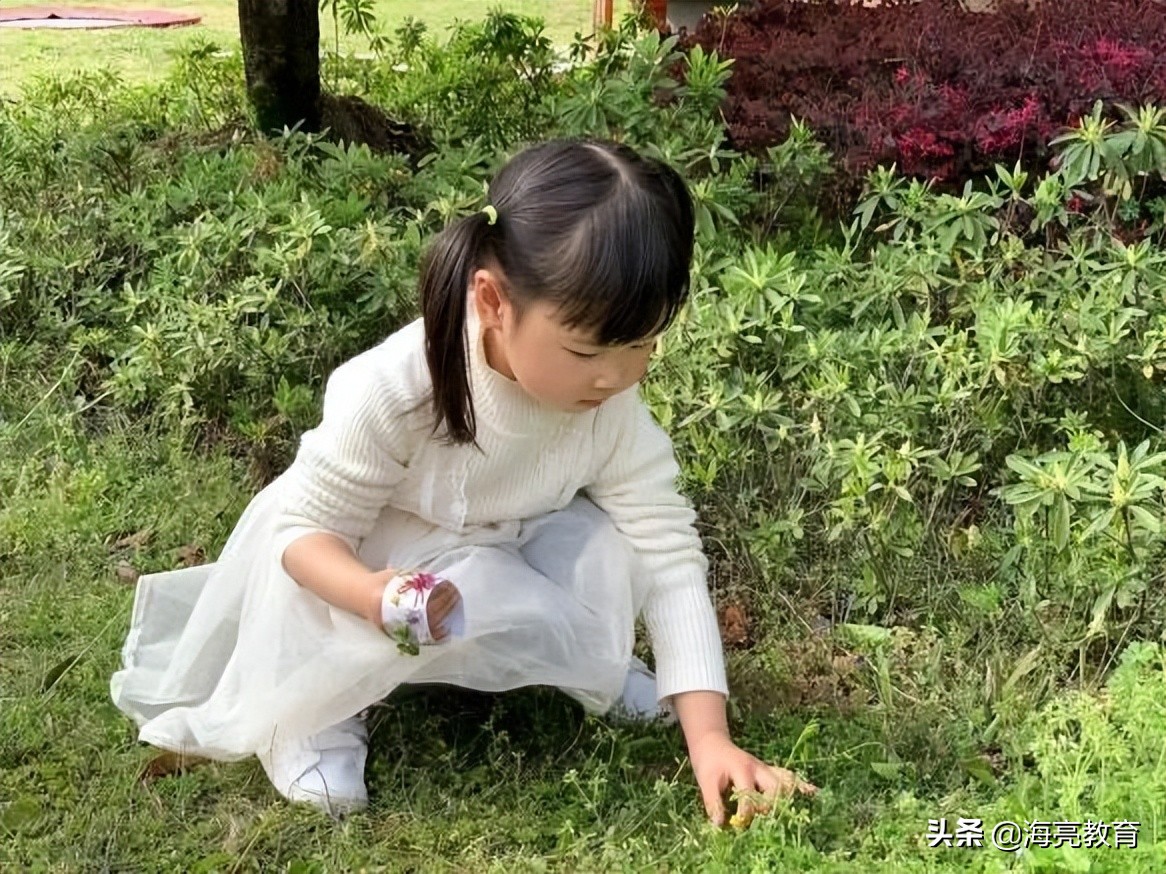 注意！前方一大波春日校园美景来袭