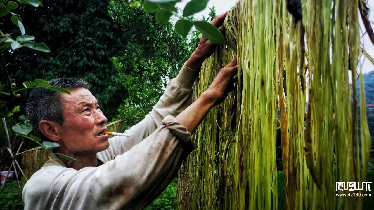 散文｜我的幸福人生——扒麻