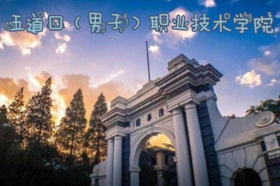985大学的“江湖绰号”盘点，每个都很接地气，网友直呼太形象了