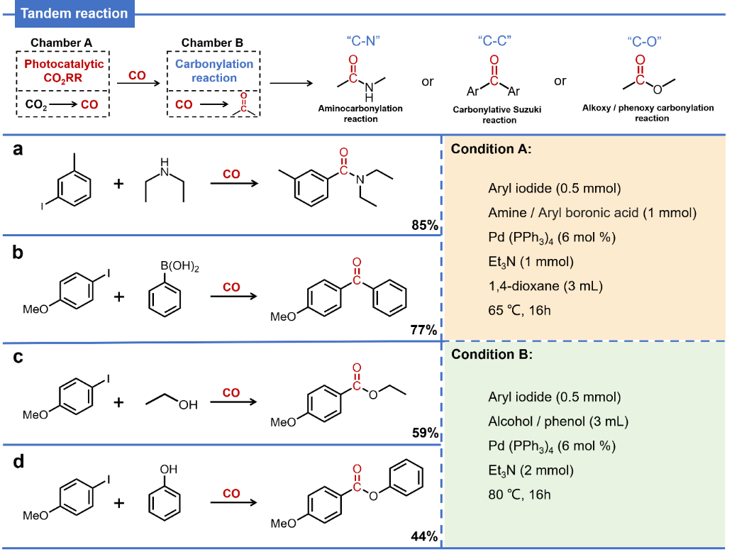 CO₂光催化反应和芳基碘化物羰基化反应串联合成精细化学品
