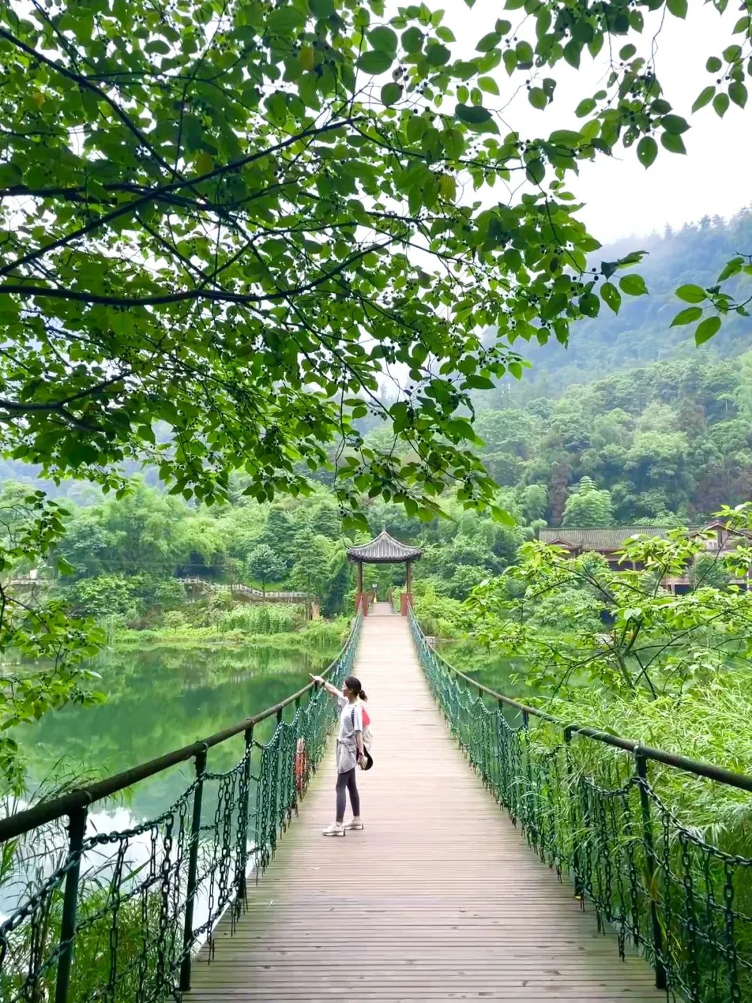 超详细超实用！峨眉山2天1晚徒步攻略收藏起来慢慢看