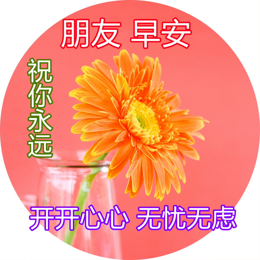 早上的问候(早上的问候语正能量)