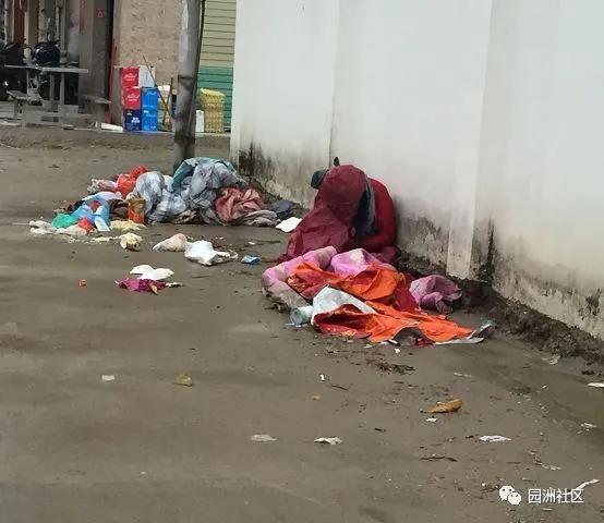 14岁那年弃学的开头