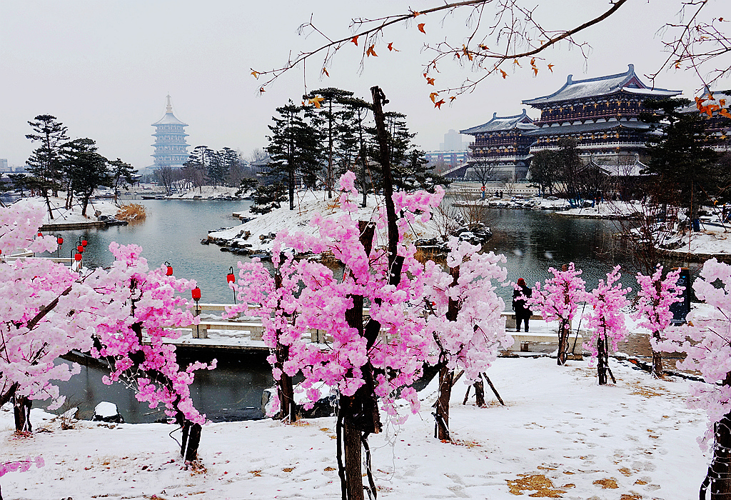 雪游九洲池